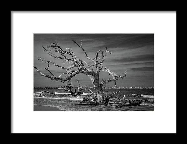 Monochrome Framed Print featuring the photograph Ghost Tree by Stephen Sloan