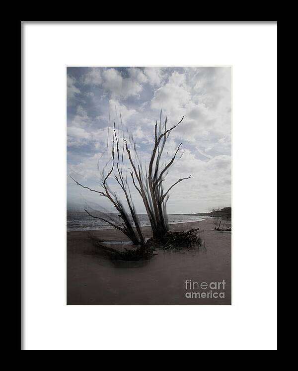 Skeleton Trees Framed Print featuring the photograph Ghost Trees by Neala McCarten