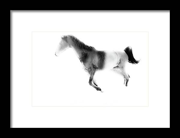 Modern Dance Framed Print featuring the photograph Ghostly by Catherine Sobredo