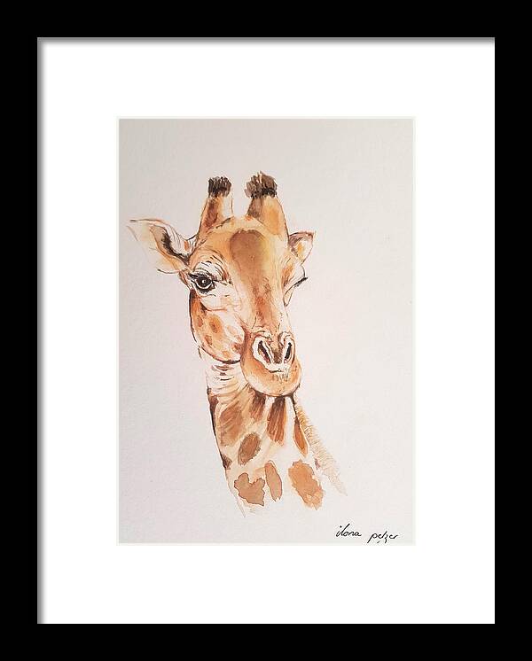 Wildlife Framed Print featuring the painting Giraffe by Ilona Petzer