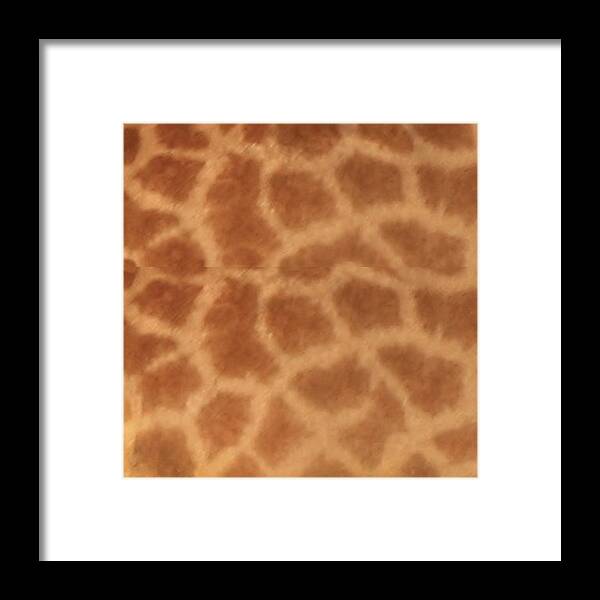 Giraffe Framed Print featuring the photograph Giraffe Print by Karen Zuk Rosenblatt