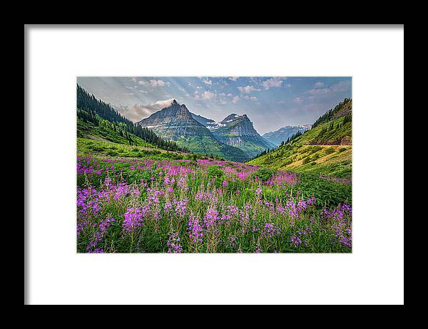 Glacier Framed Print featuring the photograph Glacier Wildflowers by Peter Tellone