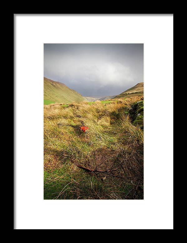 Kerry Framed Print featuring the photograph Glenahoo Wolfbane by Mark Callanan