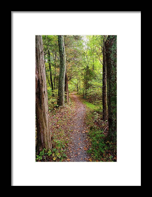 Trail Framed Print featuring the photograph Glendale Trail by Grant Twiss