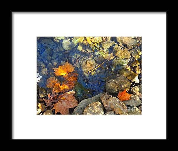 Rocks Framed Print featuring the photograph Glenns Creek 1 by David Neace CPX