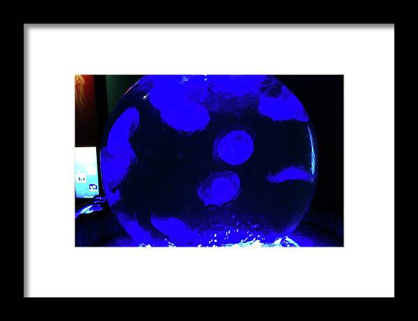Float Framed Print featuring the digital art Globe Of Jellyfish by David Desautel