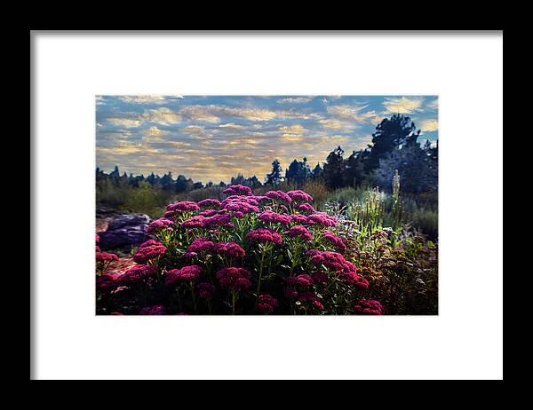 Summer Framed Print featuring the photograph Glow of Summer by Laura Putman