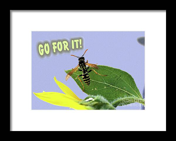 Challenge Framed Print featuring the photograph Go For It by Kae Cheatham