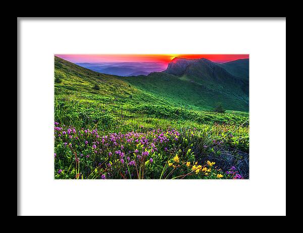Balkan Mountains Framed Print featuring the photograph Goat Wall by Evgeni Dinev