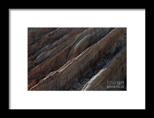 Gobi Desert Framed Print featuring the photograph Gobi desert by Elbegzaya Lkhagvasuren