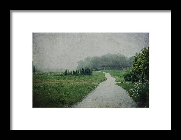 Land Framed Print featuring the photograph Going for a walk by Yasmina Baggili
