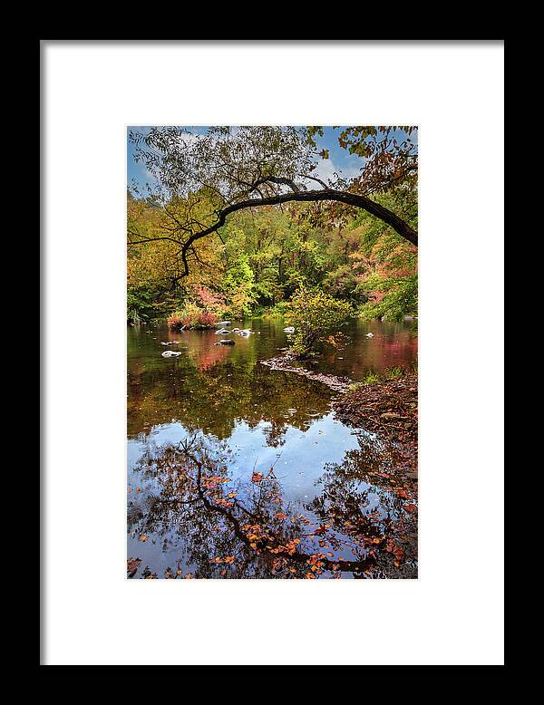 Carolina Framed Print featuring the photograph Going Full Circle into Fall II by Debra and Dave Vanderlaan