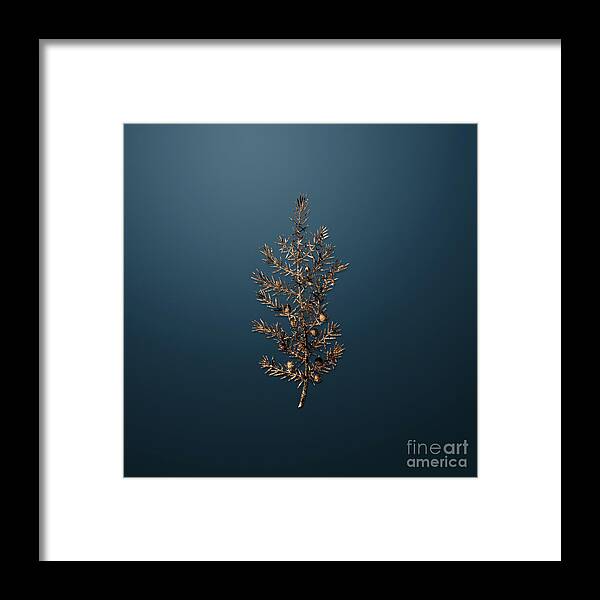 Gold Framed Print featuring the painting Gold Common Juniper on Dusk Blue n.03486 by Holy Rock Design