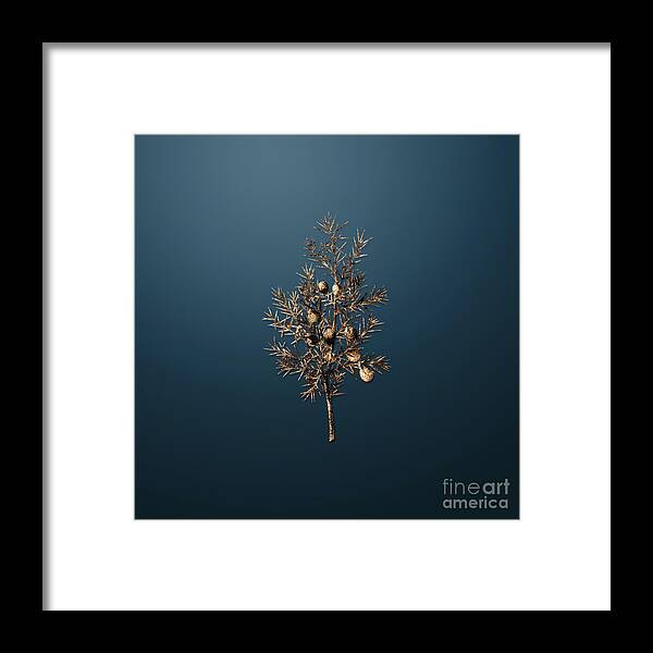 Gold Framed Print featuring the painting Gold Common Juniper on Dusk Blue n.03500 by Holy Rock Design