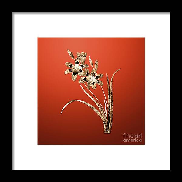 Gold Framed Print featuring the painting Gold Ixia Tricolore on Tomato Red n.01632 by Holy Rock Design