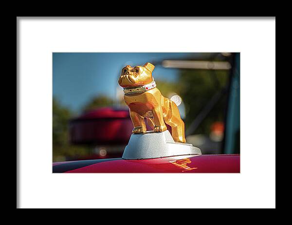 Mack Framed Print featuring the photograph Gold Mack Bulldog by Kristia Adams