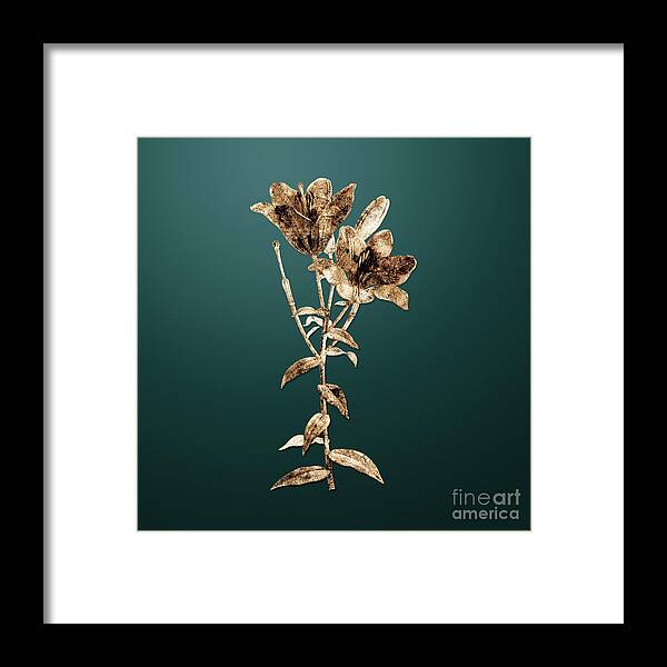 Gold Framed Print featuring the painting Gold Orange Bulbous Lily on Dark Teal n.02991 by Holy Rock Design