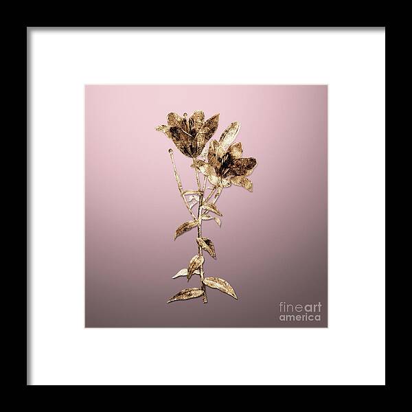Gold Framed Print featuring the painting Gold Orange Bulbous Lily on Rose Quartz n.02334 by Holy Rock Design