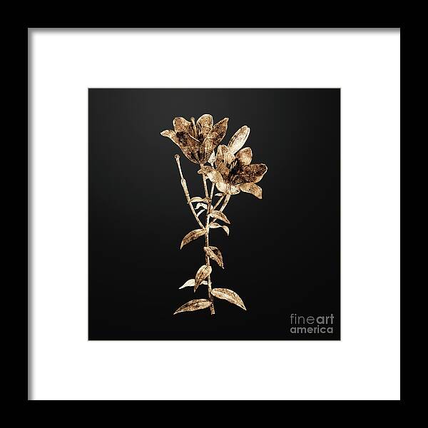 Gold Framed Print featuring the painting Gold Orange Bulbous Lily on Wrought Iron Black n.01005 by Holy Rock Design