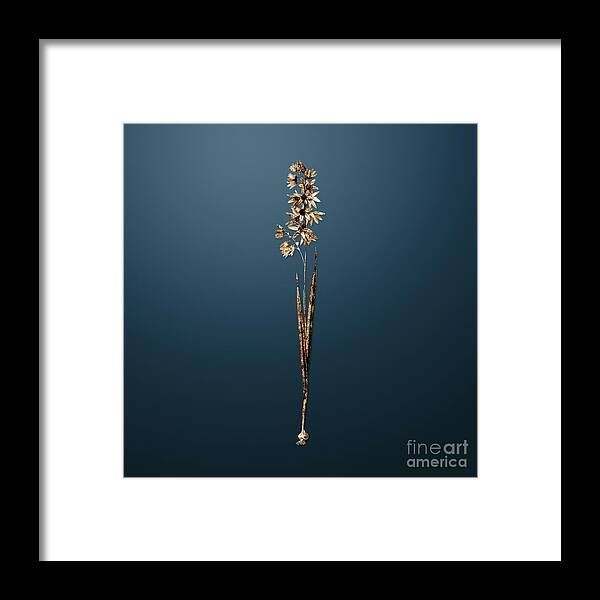 Gold Framed Print featuring the painting Gold Turquoise Ixia on Dusk Blue n.01428 by Holy Rock Design