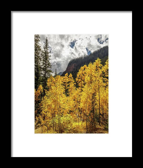 Fall Framed Print featuring the photograph Golden Aspen on the trail to Ice Lake by Bradley Morris