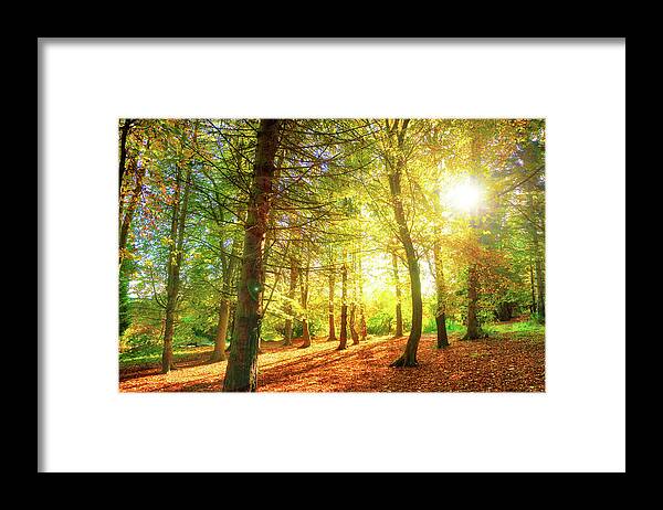 Andbc Framed Print featuring the photograph Golden Day by Martyn Boyd