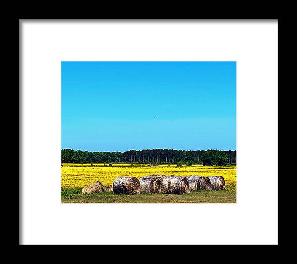 Wildflower Framed Print featuring the photograph Golden Fields by Lee Darnell