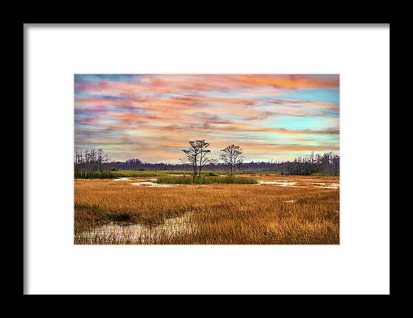 Clouds Framed Print featuring the photograph Golden Grasses across the Everglades by Debra and Dave Vanderlaan
