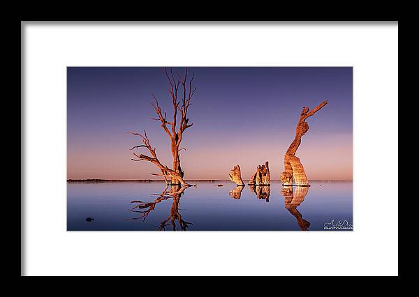 Lake Bonney Framed Print featuring the photograph Golden Hour by Andrew Dickman