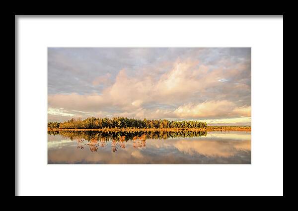 Reflection Framed Print featuring the photograph Golden Hour Pine Glow by Beth Sawickie
