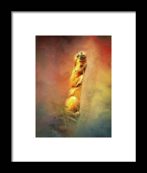 Monkey Framed Print featuring the photograph Golden Lion Tamaria by Marjorie Whitley