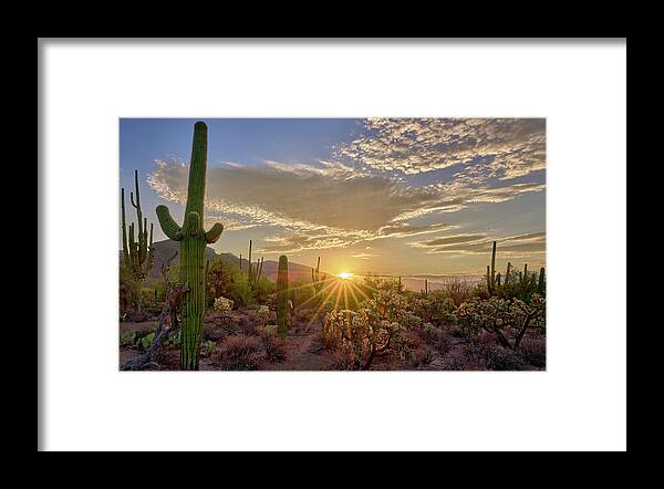 Sabino Canyon Framed Print featuring the photograph Golden Sunrise in Sabino Canyon by Chris Anson