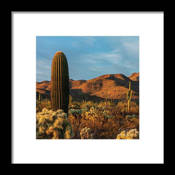 Landscape Framed Print featuring the photograph Golden Sunset by Seth Betterly