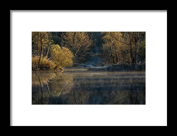 Autumn Framed Print featuring the photograph Golden treetops by Davorin Mance