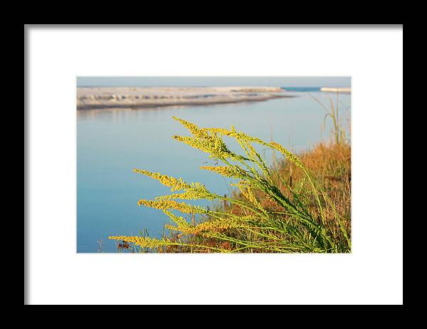 Sowal Framed Print featuring the photograph Goldenrod Coastal Dune Lake by Kurt Lischka