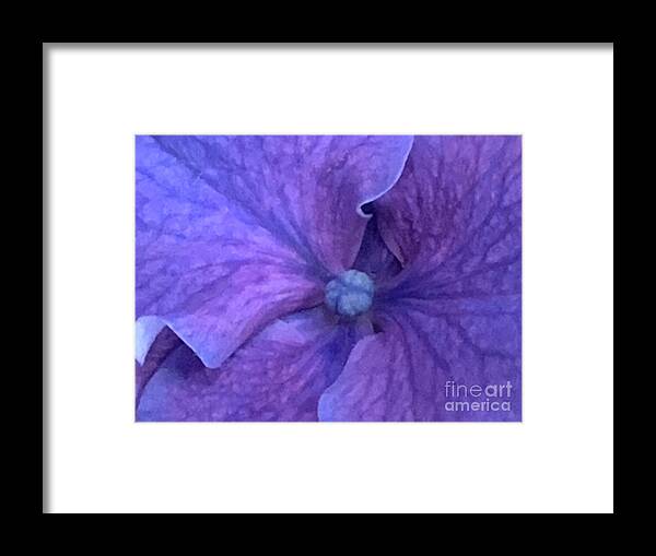 Understood Framed Print featuring the photograph Goldie's Eyes by Tiesa Wesen