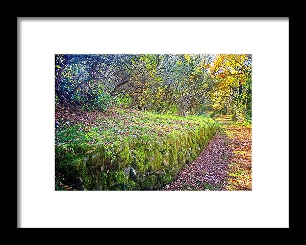 Path Framed Print featuring the photograph Good Day For A Walk by Allen Nice-Webb