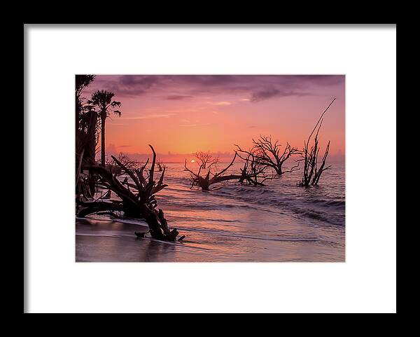 Sunrise Framed Print featuring the photograph The Forest and the Sea by Doug McPherson
