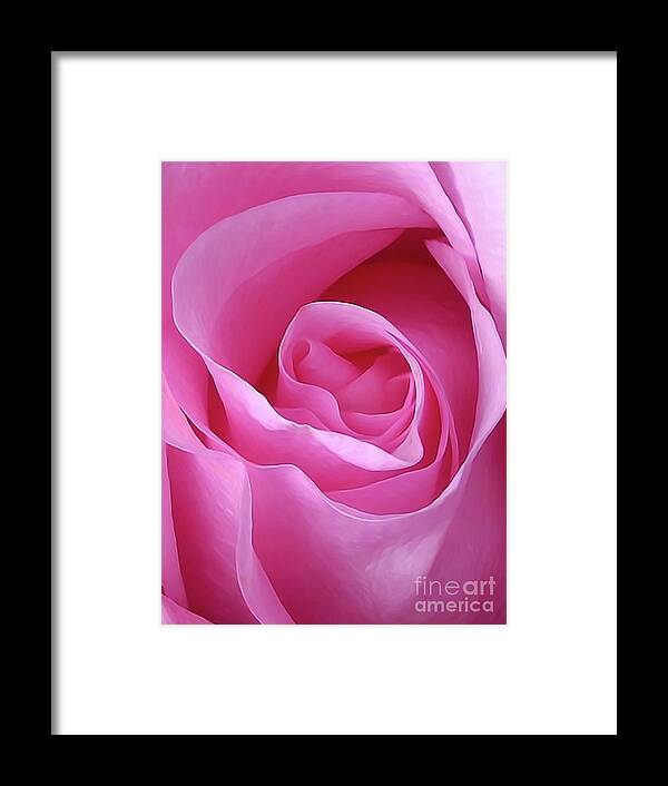 Rose Framed Print featuring the photograph Gorgeous Pink by Amy Dundon