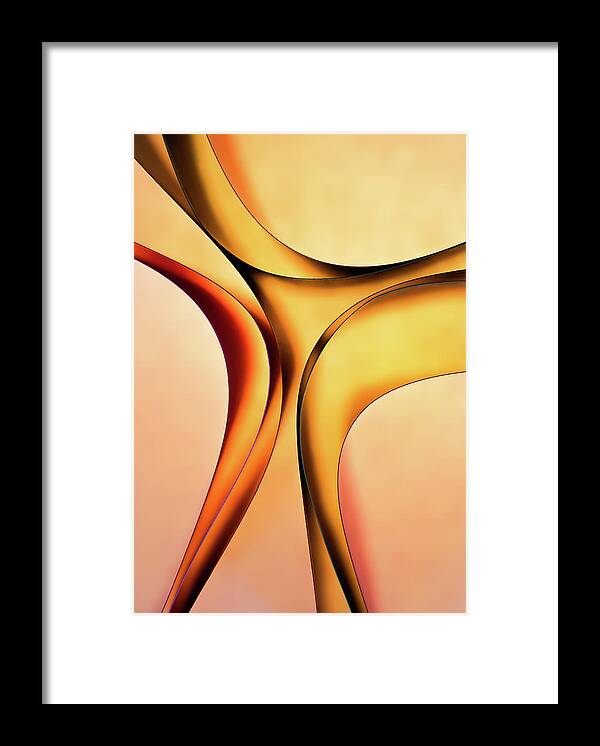 Paper Framed Print featuring the photograph Graceful - Paper Abstract by Elvira Peretsman