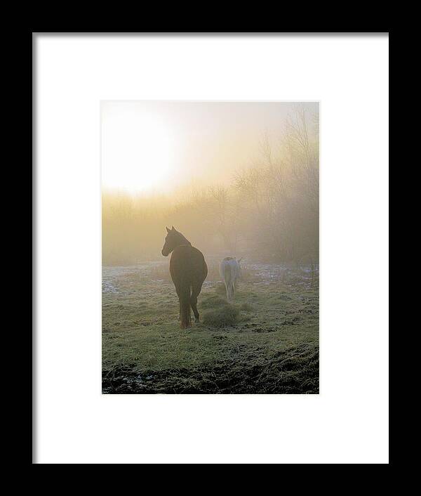 Horse Framed Print featuring the photograph Gracie in the Fog by Valerie Kirkwood