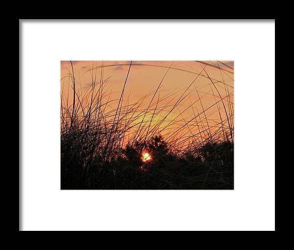 Beach Framed Print featuring the photograph Grassy Beach Sunset by Carolyn Marshall