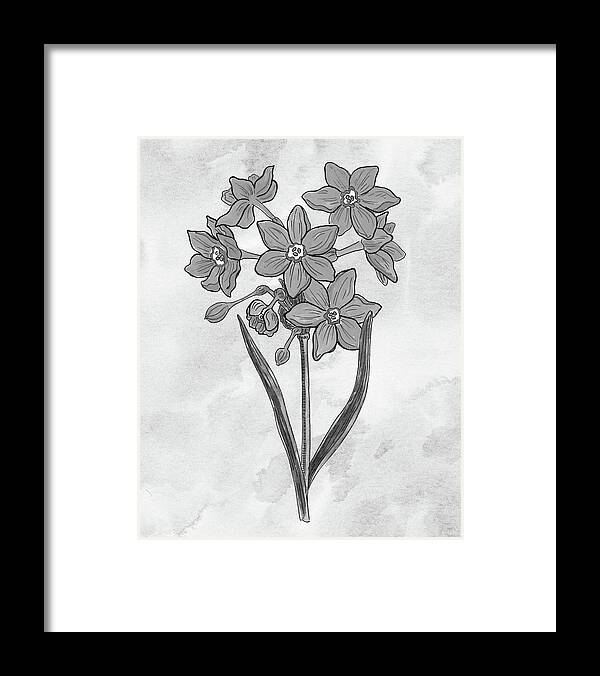 Daffodil Framed Print featuring the painting Gray Watercolor Daffodil On Marble Monochrome Art by Irina Sztukowski