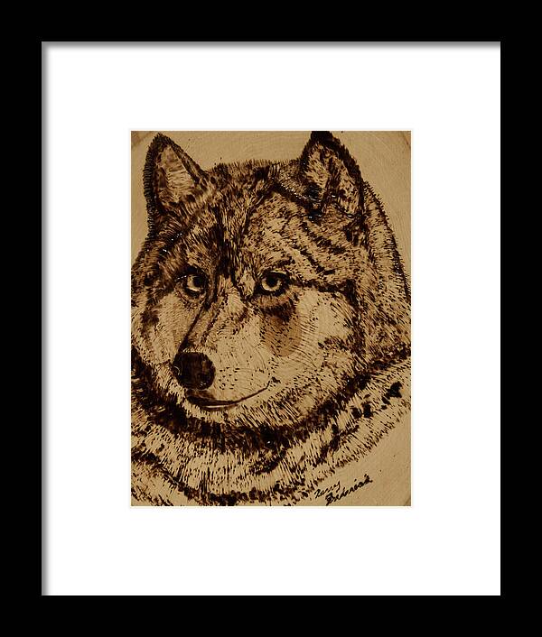 Gray Wolf Framed Print featuring the pyrography Gray Wolf by Terry Frederick