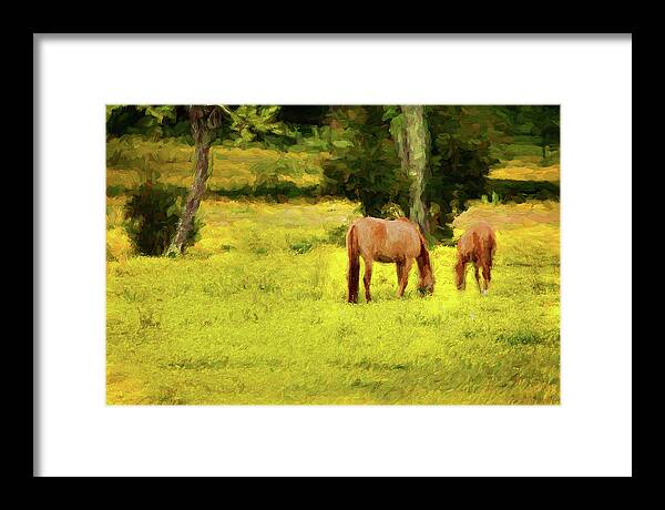 North Carolina Framed Print featuring the photograph Grazing on Sunshine - Horses in a Pasture ap by Dan Carmichael