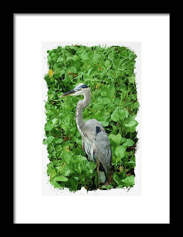Lily Framed Print featuring the digital art Great Herons by Chauncy Holmes