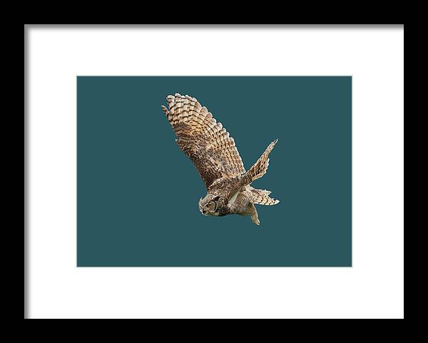 Great Horned Owl Framed Print featuring the mixed media Great Horned Owl Sans Background by Judy Cuddehe