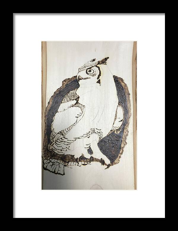Pyrography Framed Print featuring the pyrography Pre-Great Horned Owl by Terry Frederick