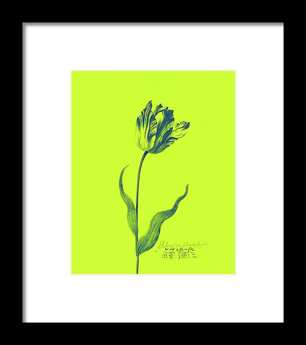 Poster Framed Print featuring the painting Great Tulip Book , Admirael De Gouda Poster by MotionAge Designs