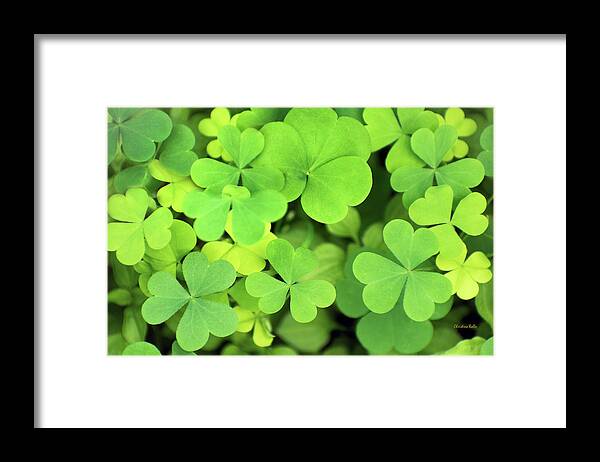 Clover Framed Print featuring the photograph Green Clover Abstract by Christina Rollo